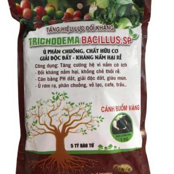 TRICHODERMA BACILLUS S.P 1KG