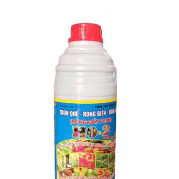 RỒNG ĐẤT PHUN CAN 1 LÍT