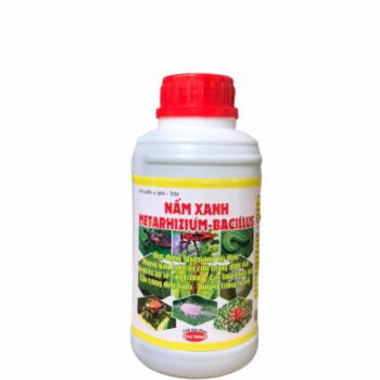 HN - Chế phẩm vi sinh - Tribi NẤM XANH METARHIZIUM-BACILLUS 500ML